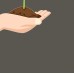2 Gallon 5pcs Fabric Round Planter Planting Grow Bag Plant Pouch Root Pots Container, Black   